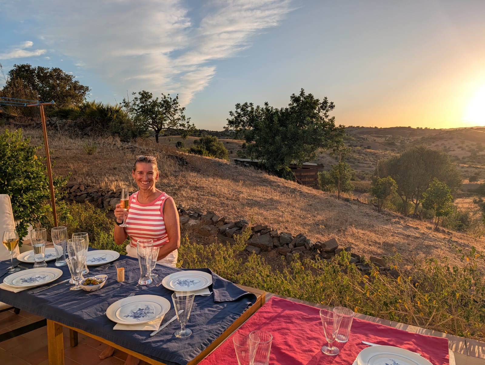 Sara raising a glass at a table laid for dinner on her land at sunset
